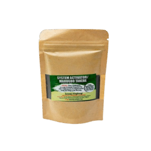 System Activator/Marugbo Takebe