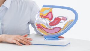 Digestive & Gastrointestinal Health 