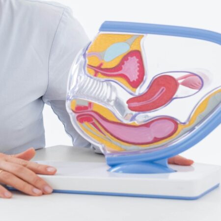 Digestive & Gastrointestinal Health 