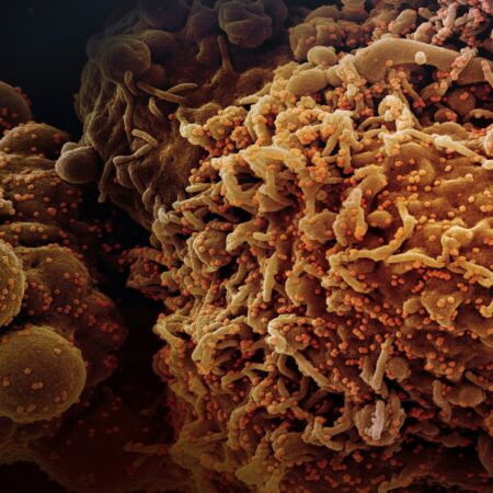 Cancer Prevention & Chronic Illness